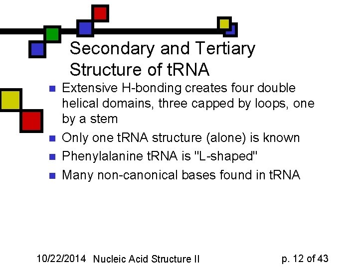 Secondary and Tertiary Structure of t. RNA n n Extensive H-bonding creates four double