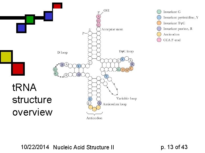t. RNA structure: overview 10/22/2014 Nucleic Acid Structure II p. 13 of 43 