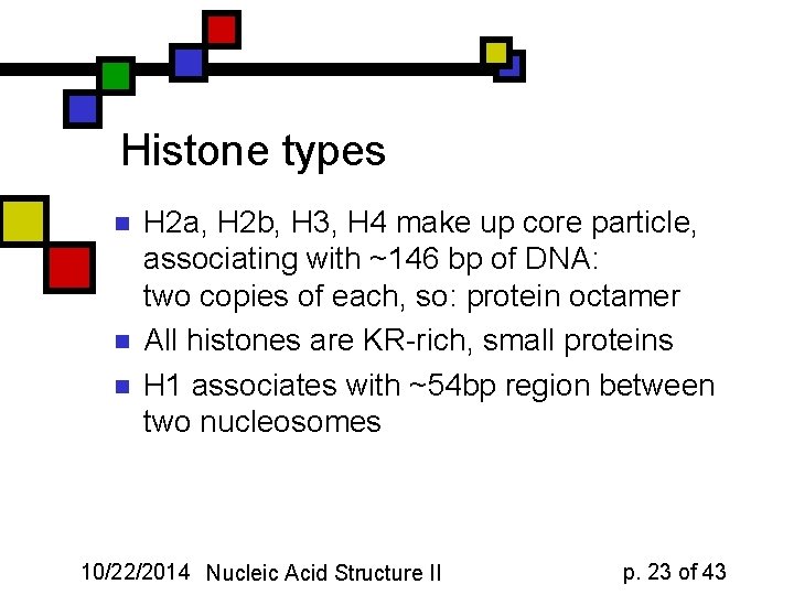 Histone types n n n H 2 a, H 2 b, H 3, H