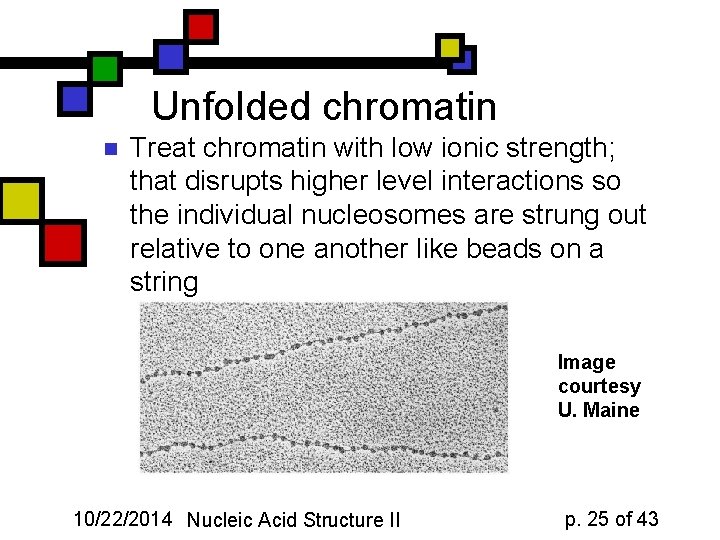 Unfolded chromatin n Treat chromatin with low ionic strength; that disrupts higher level interactions