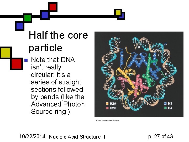 Half the core particle n Note that DNA isn’t really circular: it’s a series
