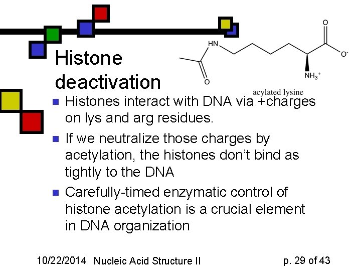 Histone deactivation n Histones interact with DNA via +charges on lys and arg residues.