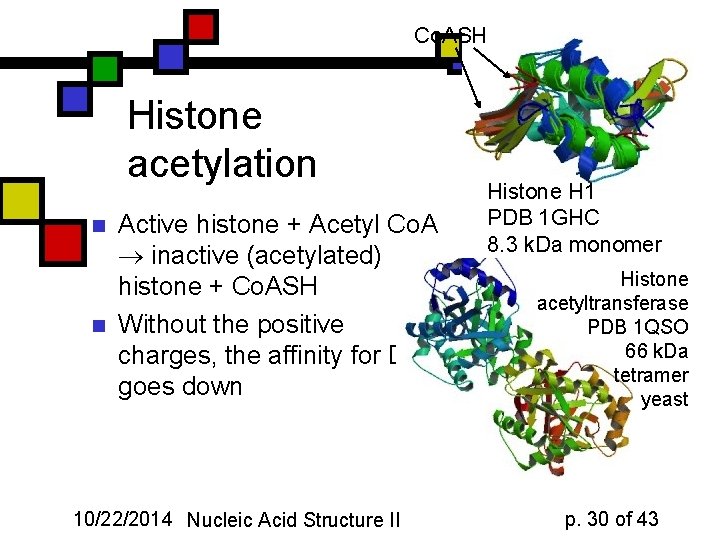 Co. ASH Histone acetylation n n Active histone + Acetyl Co. A inactive (acetylated)