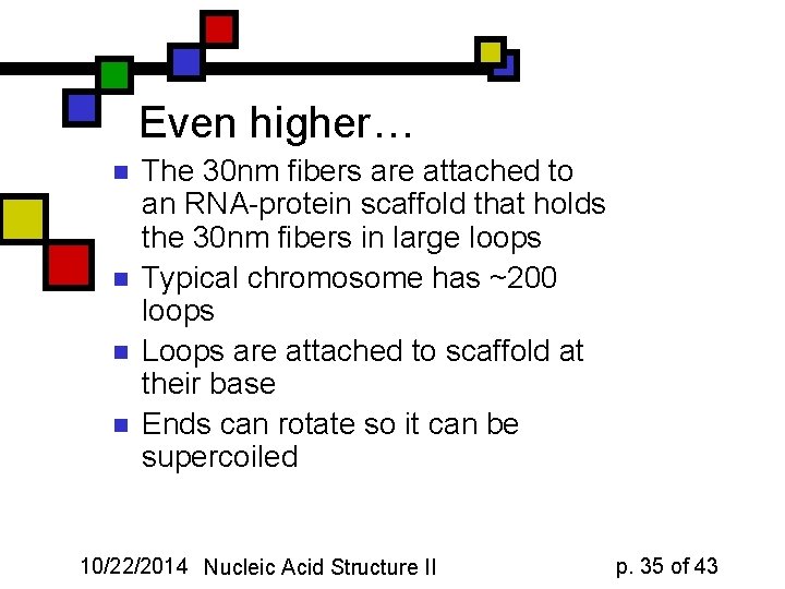 Even higher… n n The 30 nm fibers are attached to an RNA-protein scaffold