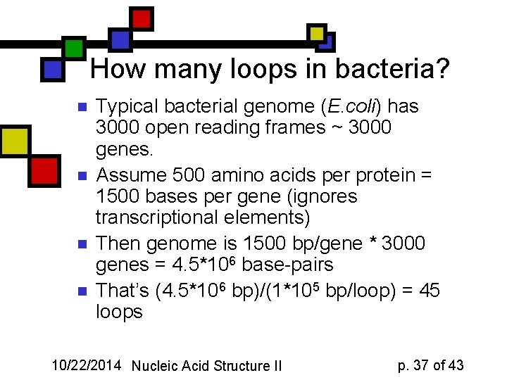 How many loops in bacteria? n n Typical bacterial genome (E. coli) has 3000