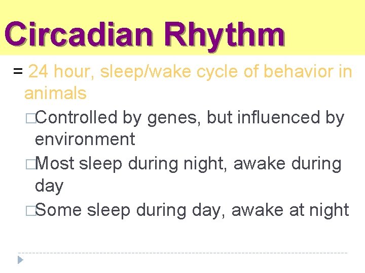 Circadian Rhythm = 24 hour, sleep/wake cycle of behavior in animals �Controlled by genes,