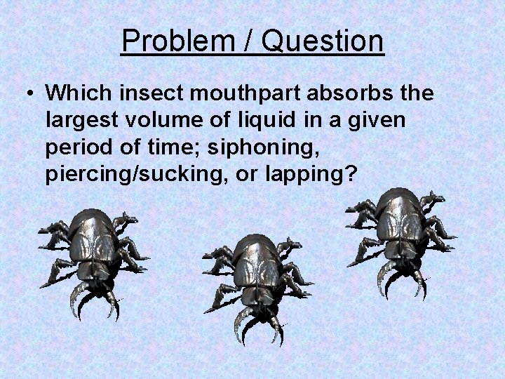 Problem / Question • Which insect mouthpart absorbs the largest volume of liquid in