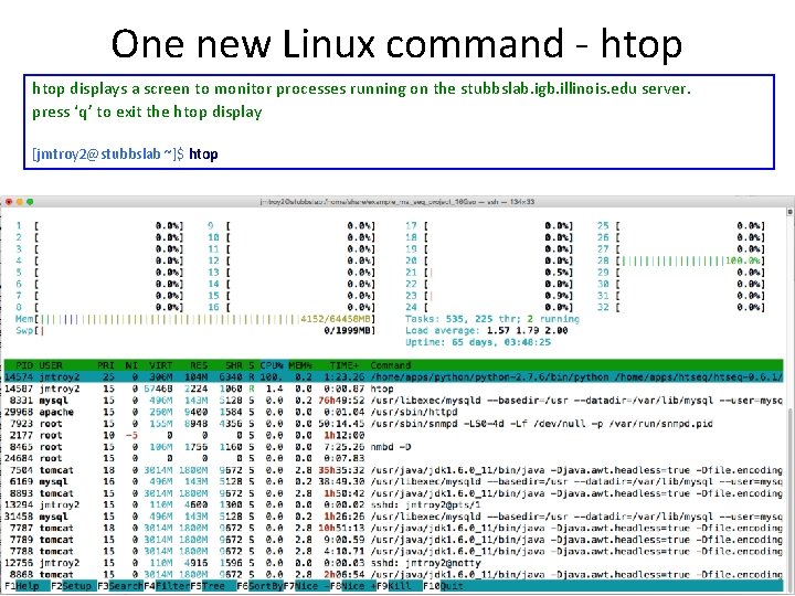 One new Linux command - htop displays a screen to monitor processes running on