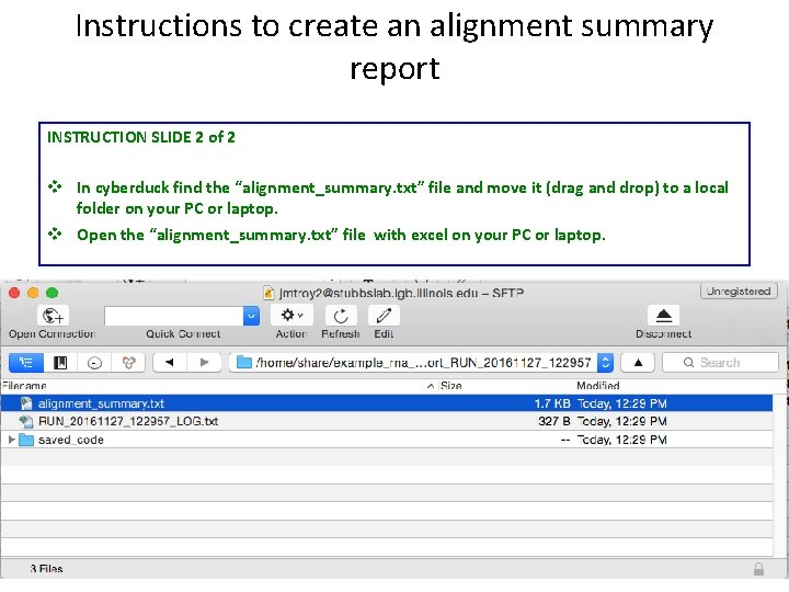 Instructions to create an alignment summary report INSTRUCTION SLIDE 2 of 2 v In
