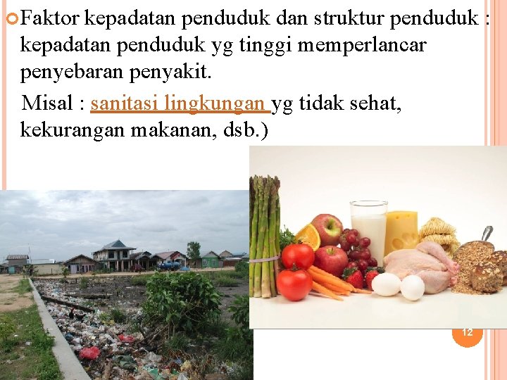  Faktor kepadatan penduduk dan struktur penduduk : kepadatan penduduk yg tinggi memperlancar penyebaran