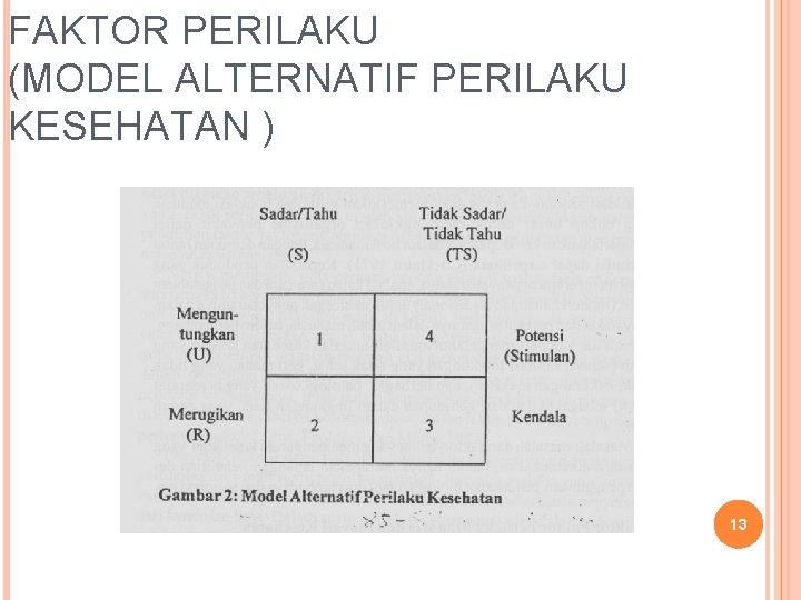 FAKTOR PERILAKU (MODEL ALTERNATIF PERILAKU KESEHATAN ) 13 