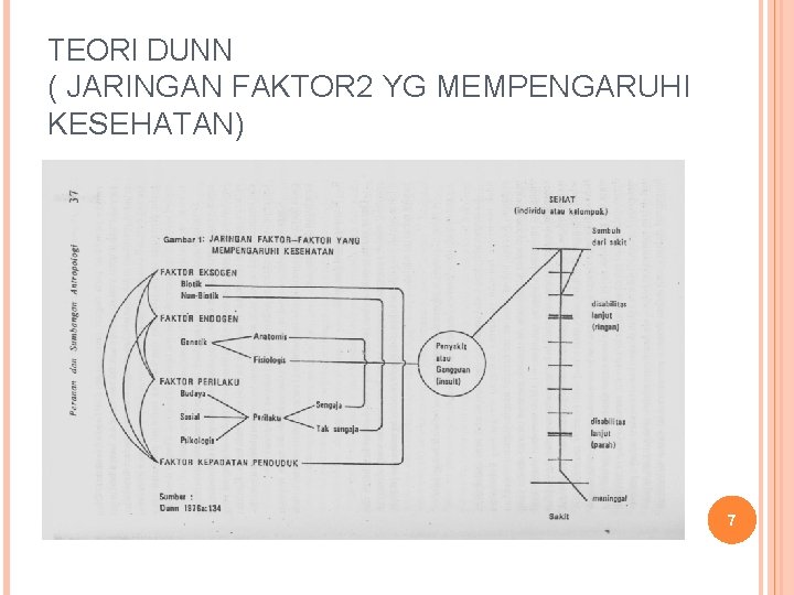 TEORI DUNN ( JARINGAN FAKTOR 2 YG MEMPENGARUHI KESEHATAN) 7 