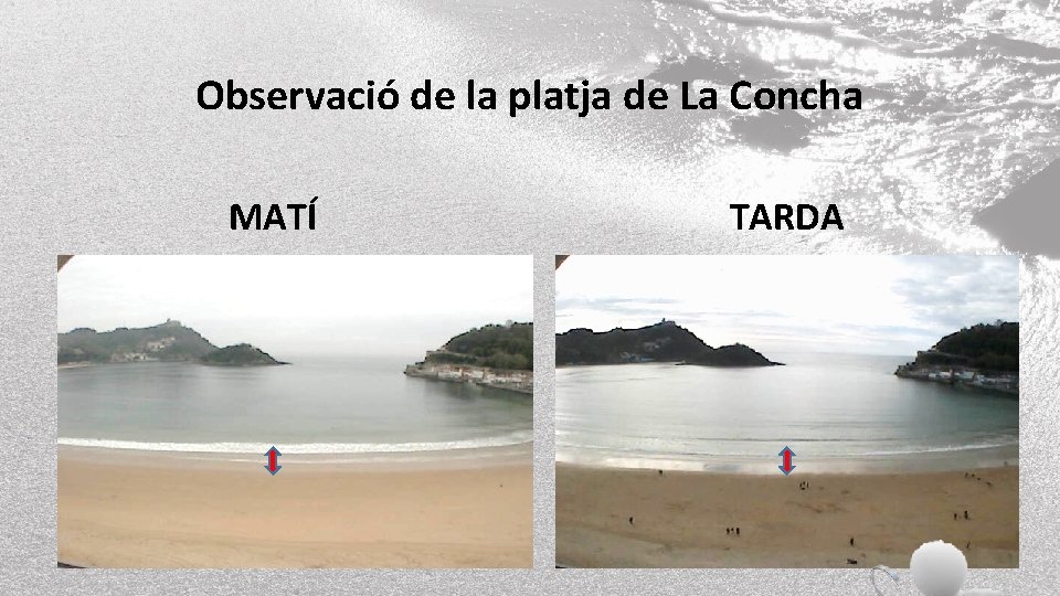Observació de la platja de La Concha MATÍ TARDA 
