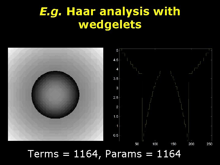 E. g. Haar analysis with wedgelets Terms = 1164, Params = 1164 