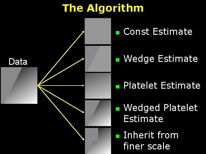 The Algorithm Data n Const Estimate n Wedge Estimate n Platelet Estimate n n