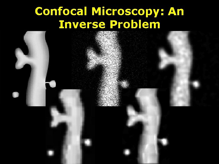 Confocal Microscopy: An Inverse Problem 