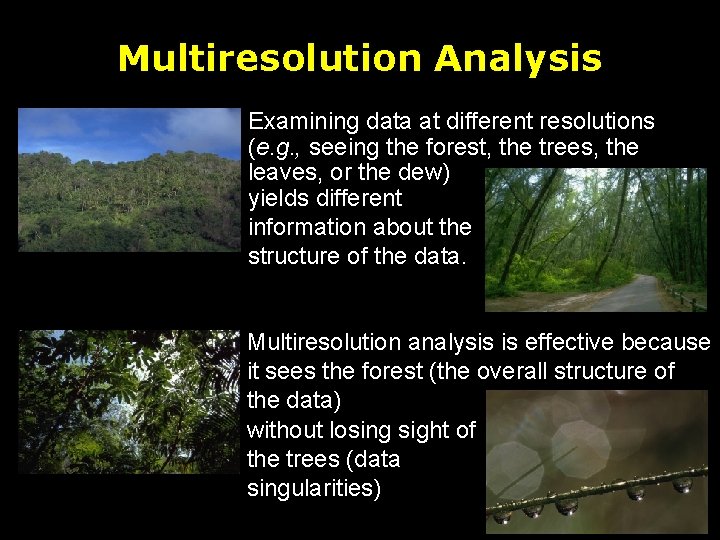 Multiresolution Analysis Examining data at different resolutions (e. g. , seeing the forest, the