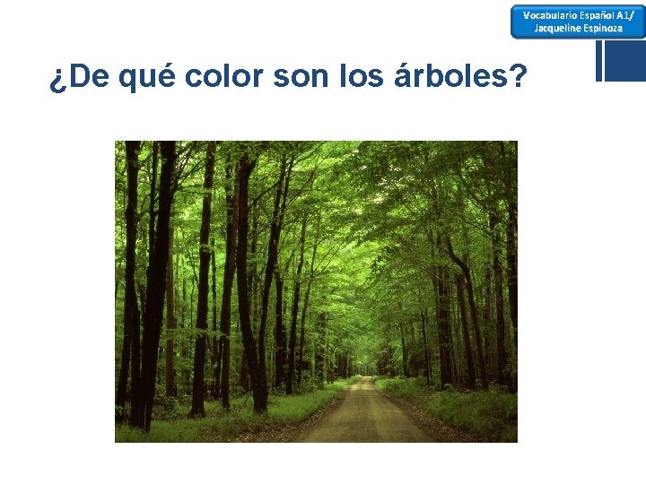 Vocabulario Español A 1/ Jacqueline Espinoza ¿De qué color son los árboles? 