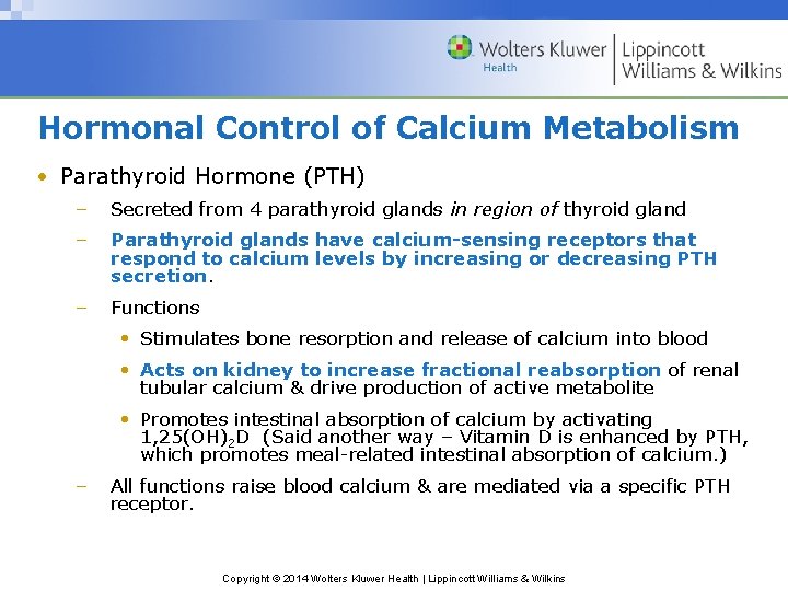 Hormonal Control of Calcium Metabolism • Parathyroid Hormone (PTH) – Secreted from 4 parathyroid