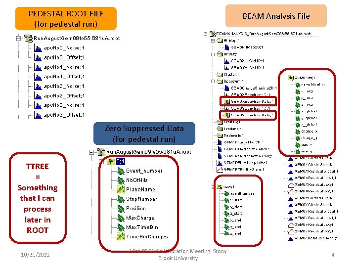 PEDESTAL ROOT FILE (for pedestal run) BEAM Analysis File Zero Suppressed Data (for pedestal