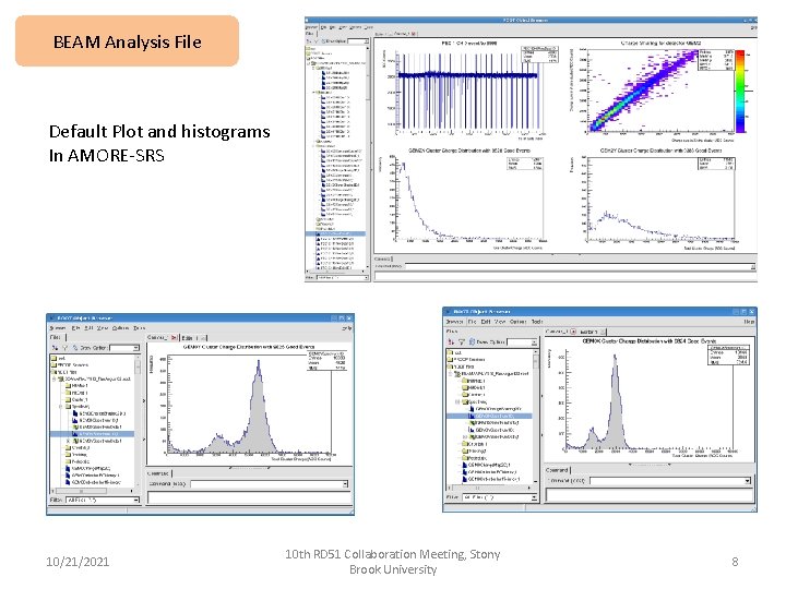 BEAM Analysis File Default Plot and histograms In AMORE-SRS 10/21/2021 10 th RD 51