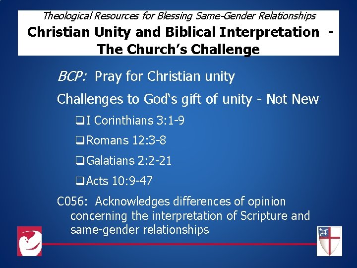 Theological Resources for Blessing Same-Gender Relationships Christian Unity and Biblical Interpretation The Church’s Challenge