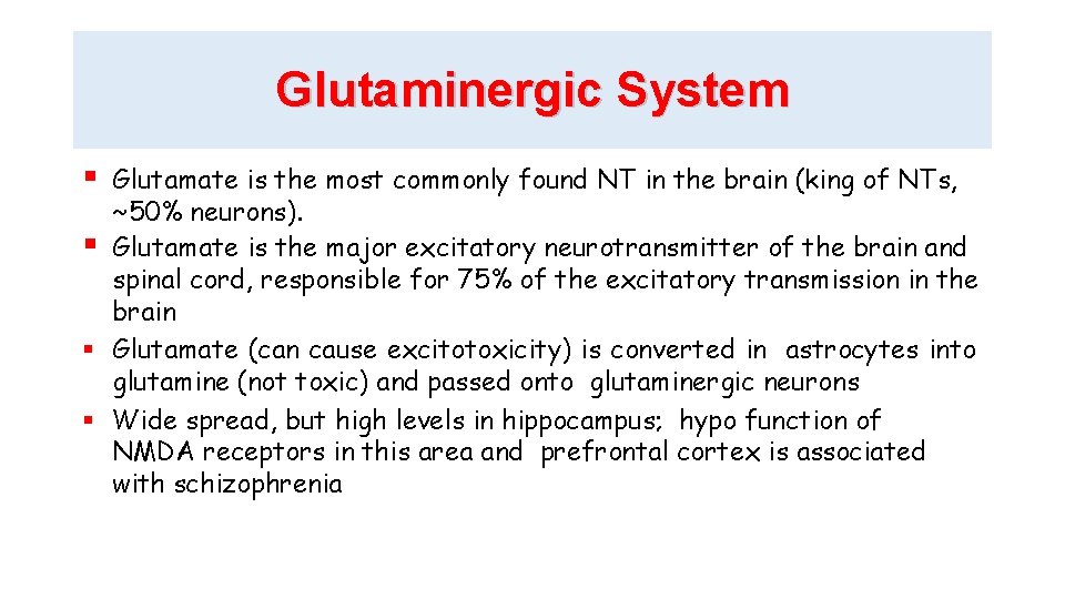 Glutaminergic System Glutamate is the most commonly found NT in the brain (king of