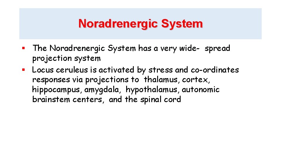 Noradrenergic System The Noradrenergic System has a very wide- spread projection system Locus ceruleus