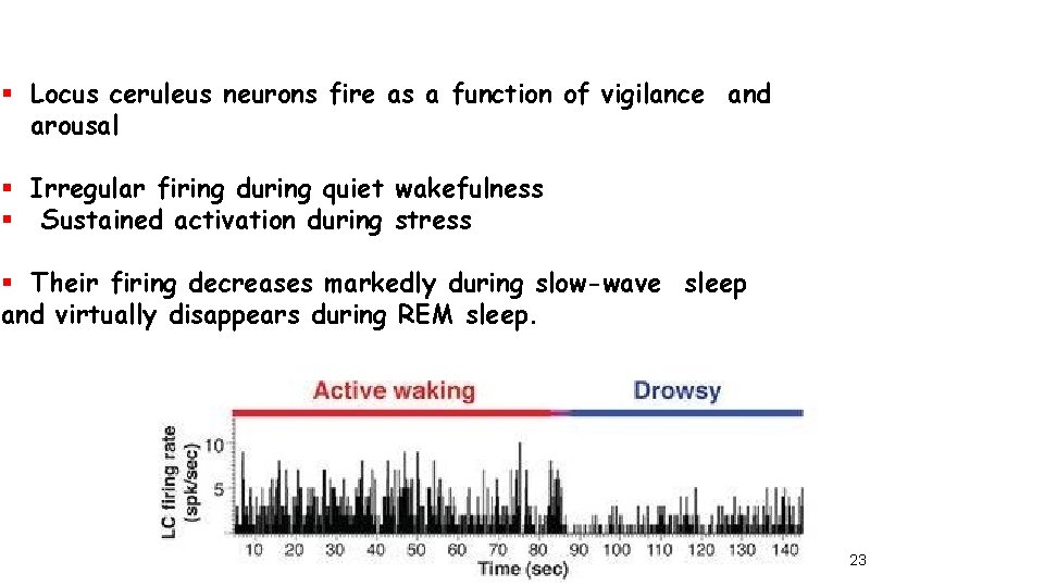  Locus ceruleus neurons fire as a function of vigilance and arousal Irregular firing