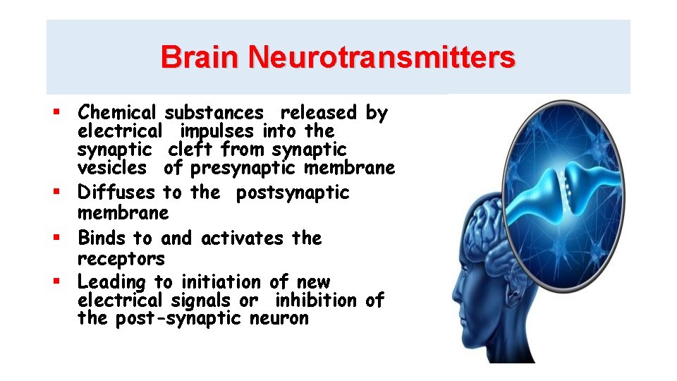 Brain Neurotransmitters Chemical substances released by electrical impulses into the synaptic cleft from synaptic