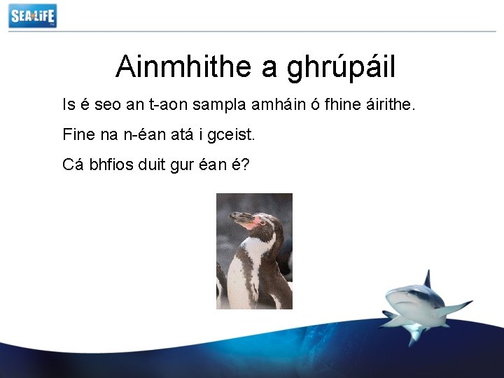 Ainmhithe a ghrúpáil Is é seo an t-aon sampla amháin ó fhine áirithe. Fine