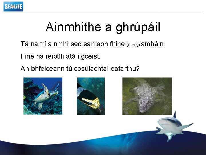 Ainmhithe a ghrúpáil Tá na trí ainmhí seo san aon fhine (family) amháin. Fine