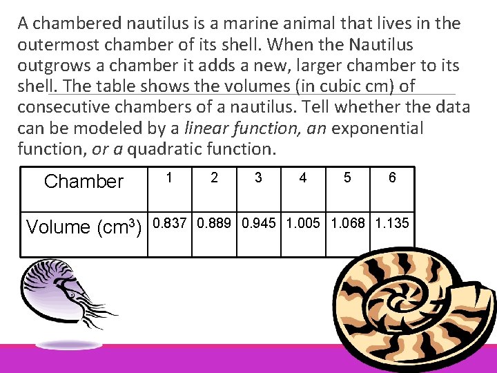 A chambered nautilus is a marine animal that lives in the outermost chamber of A chambered nautilus is a marine animal that lives in the outermost chamber of