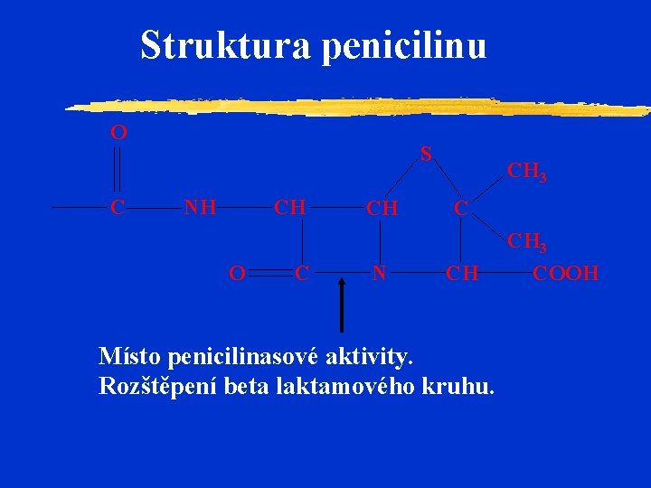 Struktura penicilinu O C S NH CH O C CH N CH 3 C