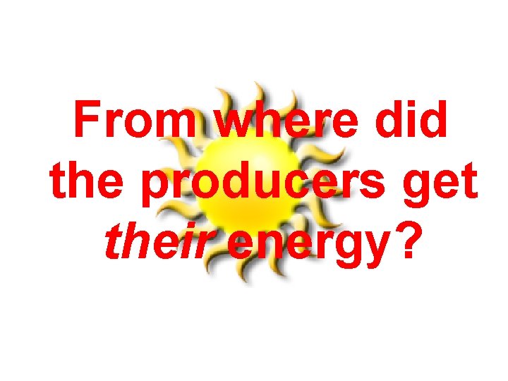 From where did the producers get their energy? 