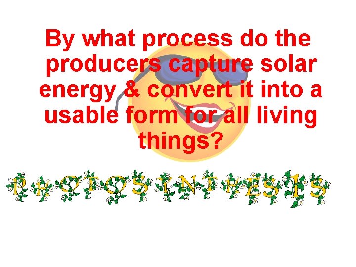 By what process do the producers capture solar energy & convert it into a