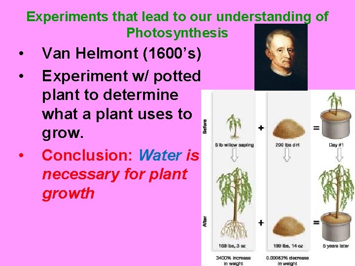 Experiments that lead to our understanding of Photosynthesis • • • Van Helmont (1600’s)