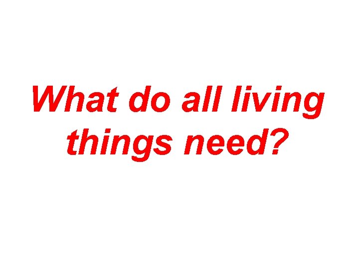 What do all living things need? 