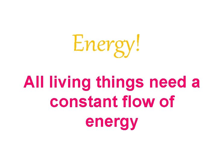 Energy! All living things need a constant flow of energy 