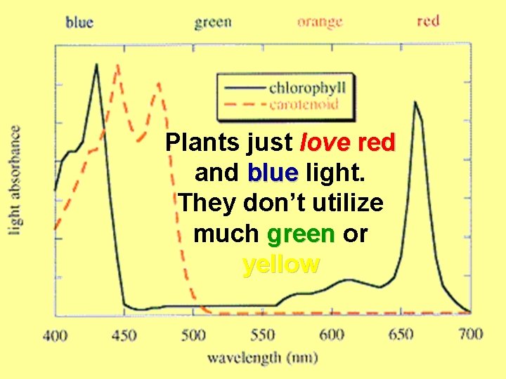 Plants just love red and blue light. They don’t utilize much green or yellow