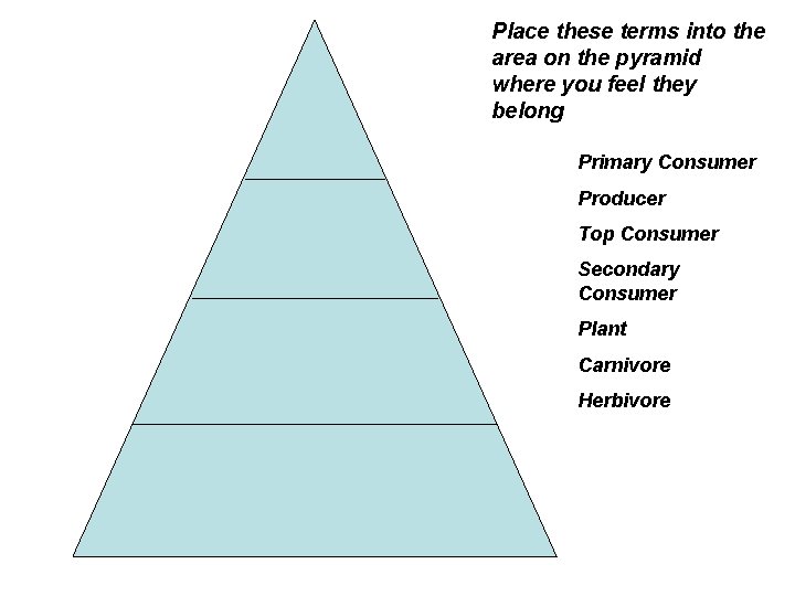 Place these terms into the area on the pyramid where you feel they belong