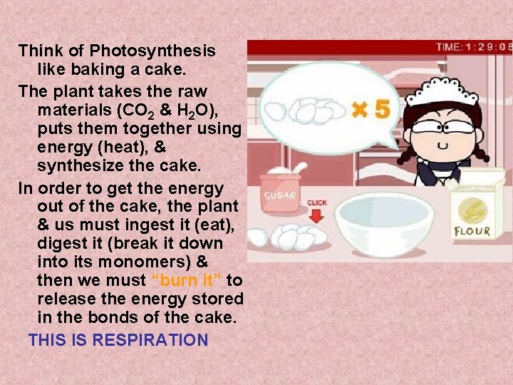 Think of Photosynthesis like baking a cake. The plant takes the raw materials (CO