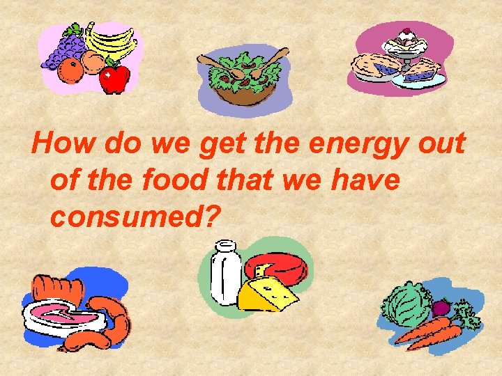 How do we get the energy out of the food that we have consumed?