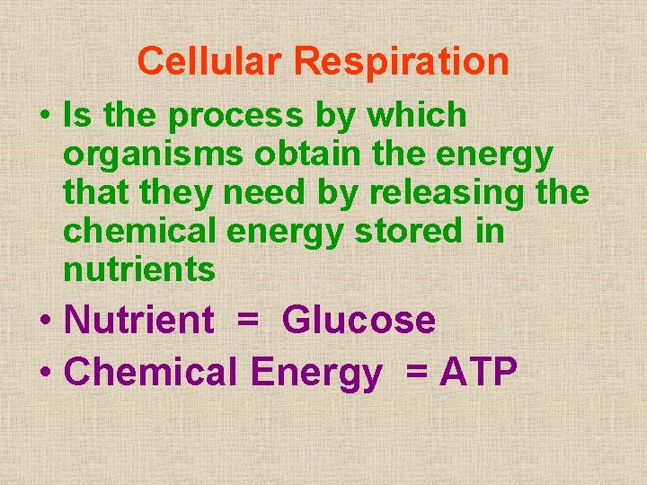 Cellular Respiration • Is the process by which organisms obtain the energy that they