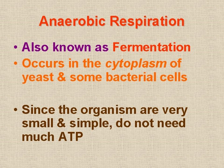 Anaerobic Respiration • Also known as Fermentation • Occurs in the cytoplasm of yeast