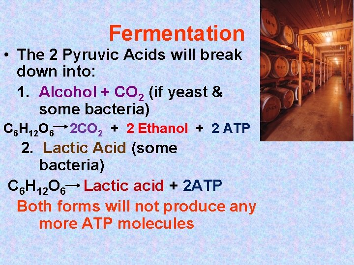 Fermentation • The 2 Pyruvic Acids will break down into: 1. Alcohol + CO