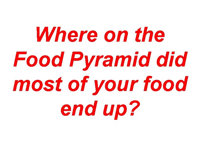 Where on the Food Pyramid did most of your food end up? 