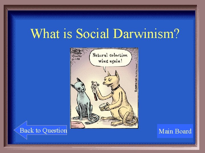 What is Social Darwinism? Back to Question Main Board 