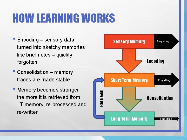 HOW LEARNING WORKS • Encoding – sensory data Sensory Memory turned into sketchy memories