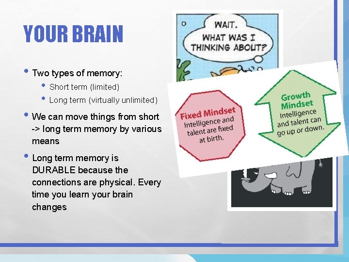 YOUR BRAIN • Two types of memory: • Short term (limited) • Long term